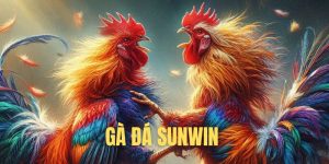 Đá gà Sunwin - Những trận đấu kinh điển không thể bỏ qua