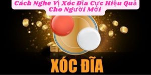 Cách Nghe Vị Xóc Đĩa Cực Hiệu Quả Cho Người Mới 