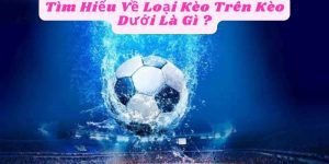 Tìm Hiểu Về Loại Kèo Trên Kèo Dưới Là Gì ?