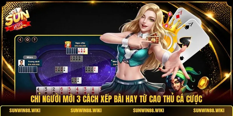 Chỉ người mới 3 cách xếp bài hay từ cao thủ cá cược