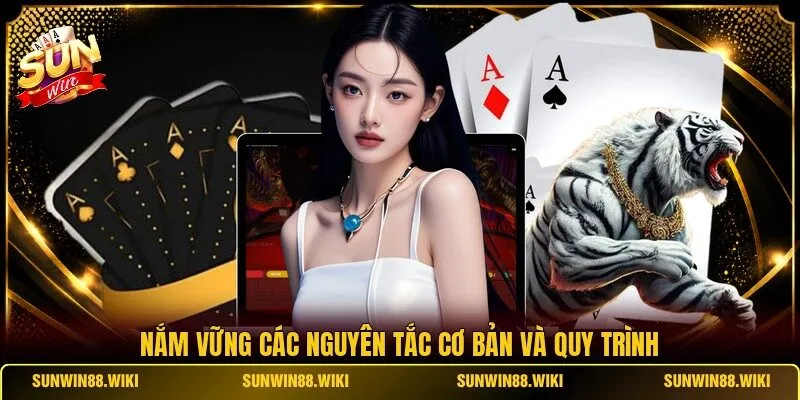 Nắm vững các nguyên tắc cơ bản và quy trình